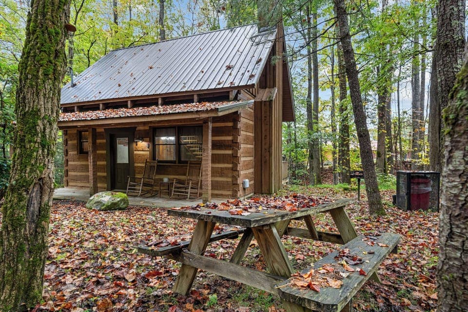 little-bird-cabin-23