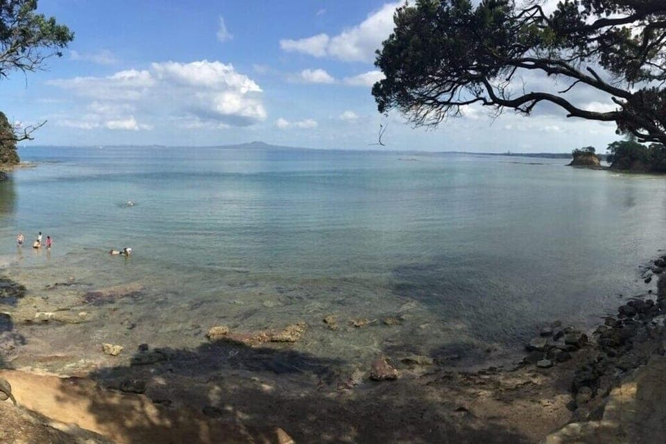 Beach No 1: Watson's Cove (2 mins walk from home)