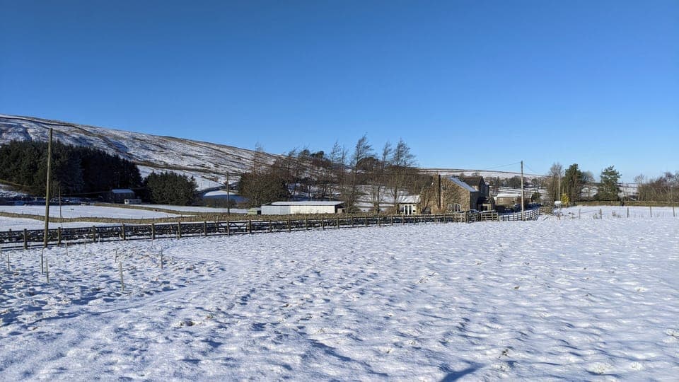 Paddock covered in snow