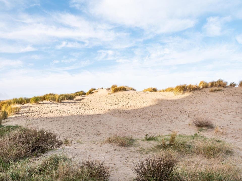 View from Holiday Home [summer]