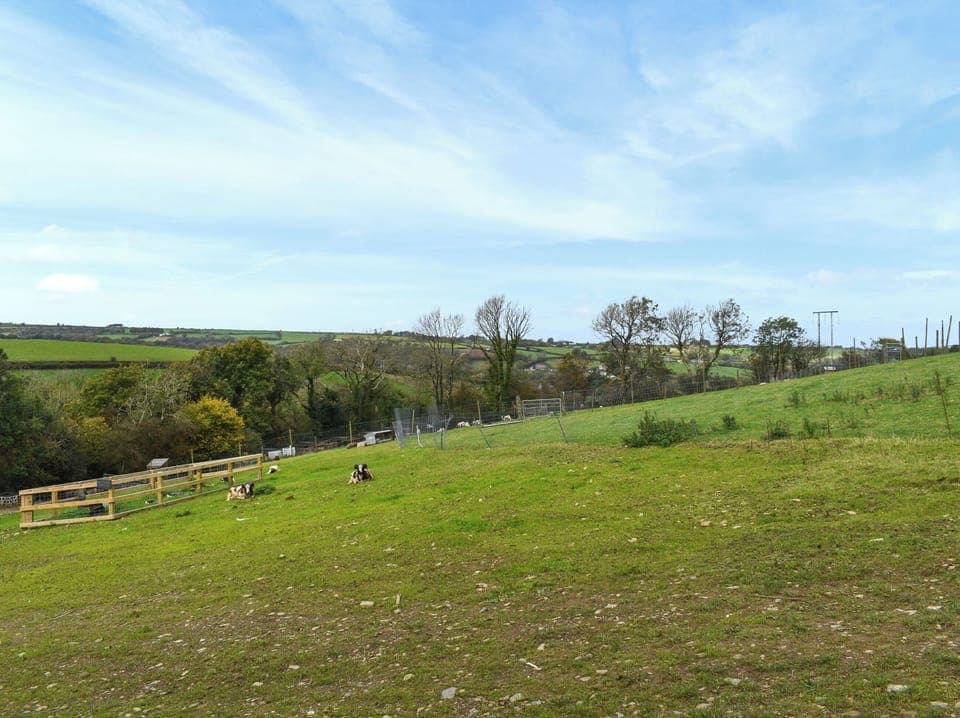 Outdoor | Centilen Pedr - Daffodil - Nantsidyll Holidays & Spa, Nansidyll