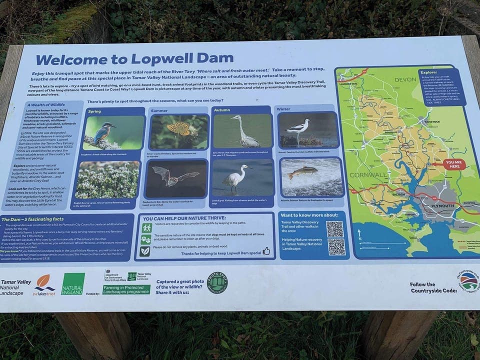 Lopwell Dam information