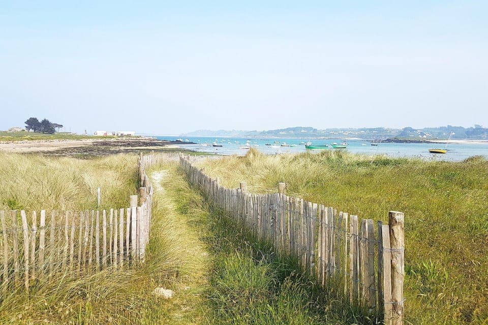 Immediate Surroundings [summer] (<1 km)