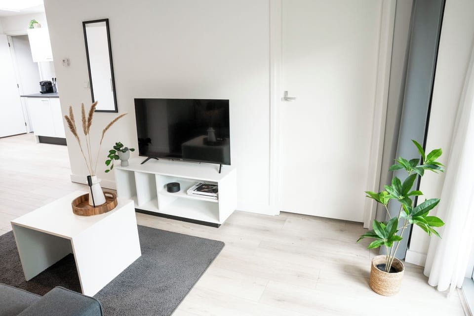 Bright and minimal living space with a sleek TV setup, modern decor, and natural accents like indoor plants and soft tones for a calming feel.