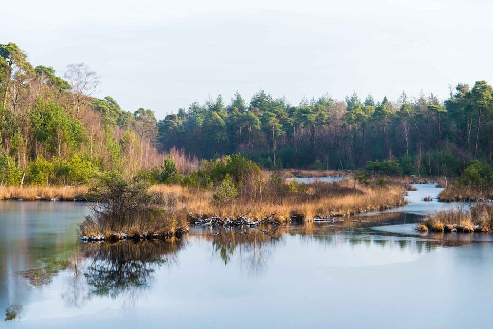 Hidden surprises wait behind every corner.