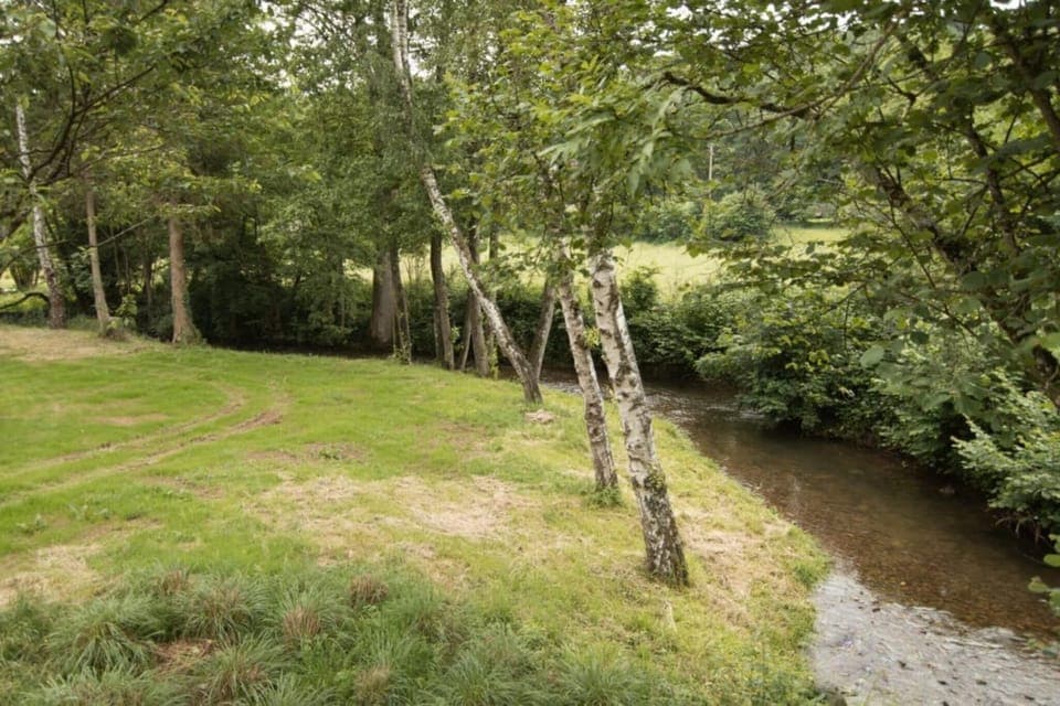 Immediate Surroundings [summer] (<1 km)