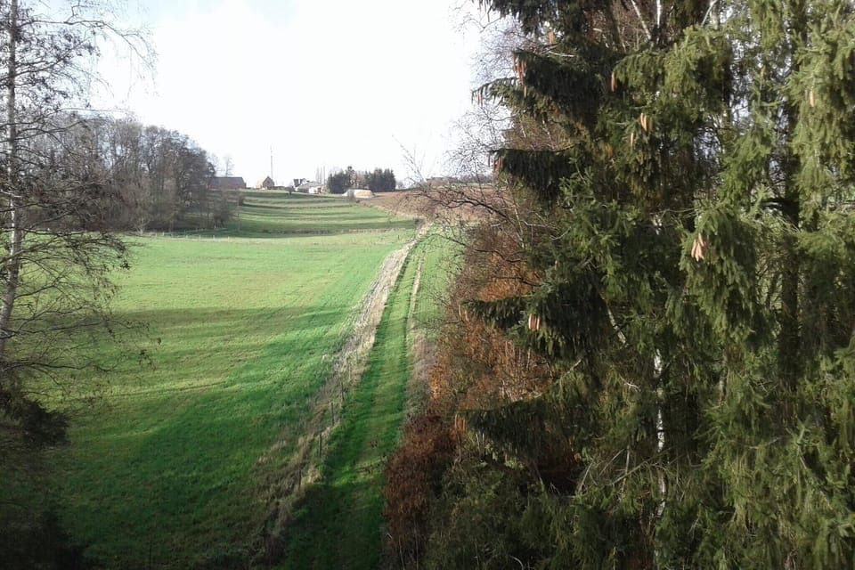 Immediate Surroundings [summer] (<1 km)