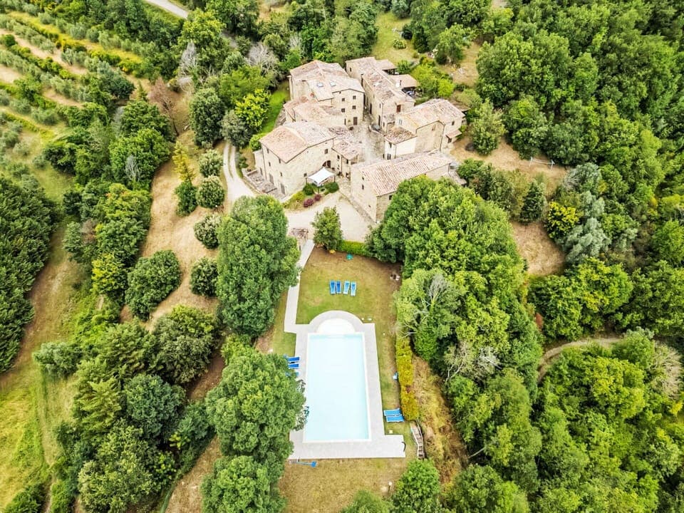 Leaf, Green, Yellow, Tree, Nature, Natural Environment, Branch, Vegetation, Natural Landscape, Grassland