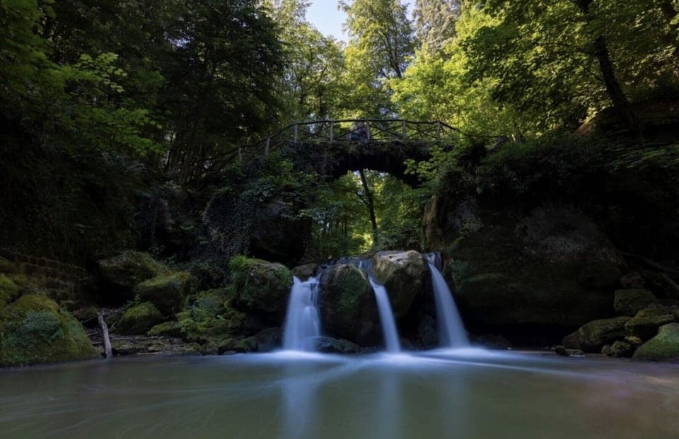 Camping Gritt - De Lodge - surroundings