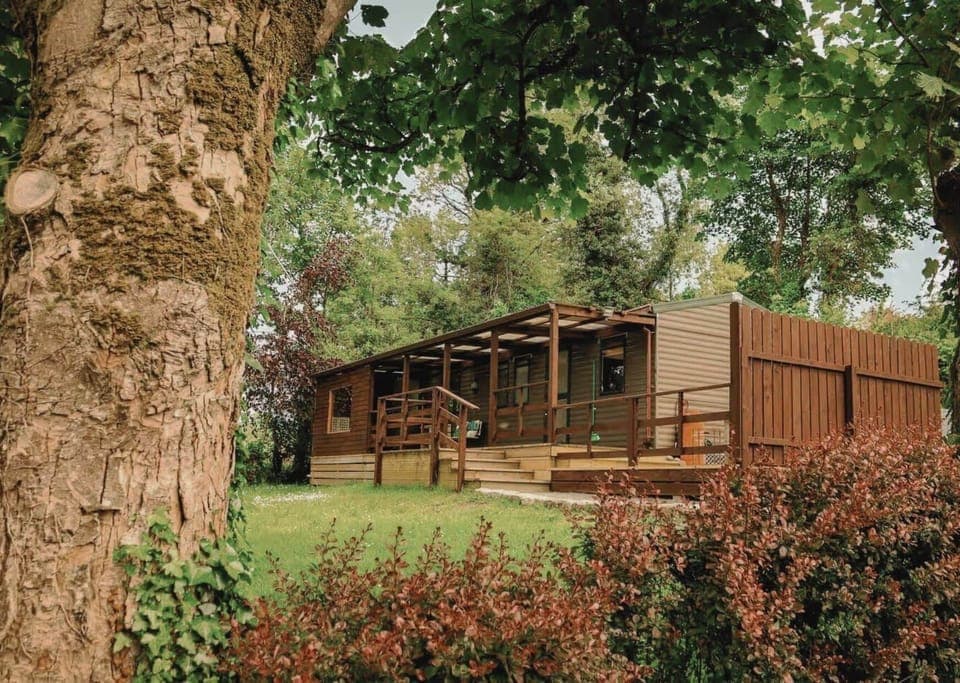 The Cabin