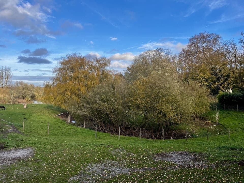 View of the meadow and pond from the Dovecote at Domaine de Tourny.