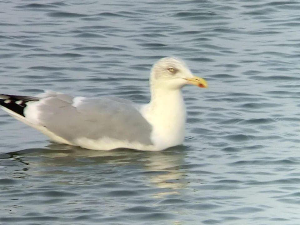 Town/city in general. Picture 11