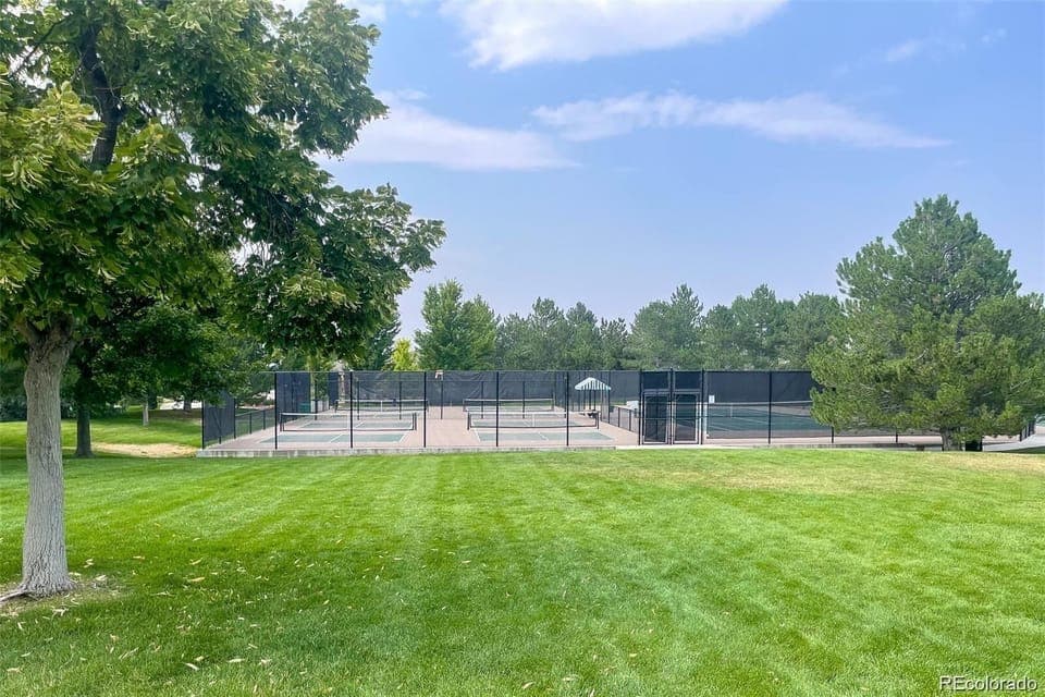 Sport court