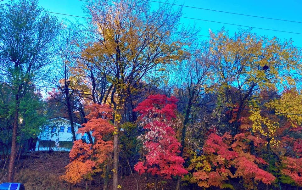 Fall Photo of Home