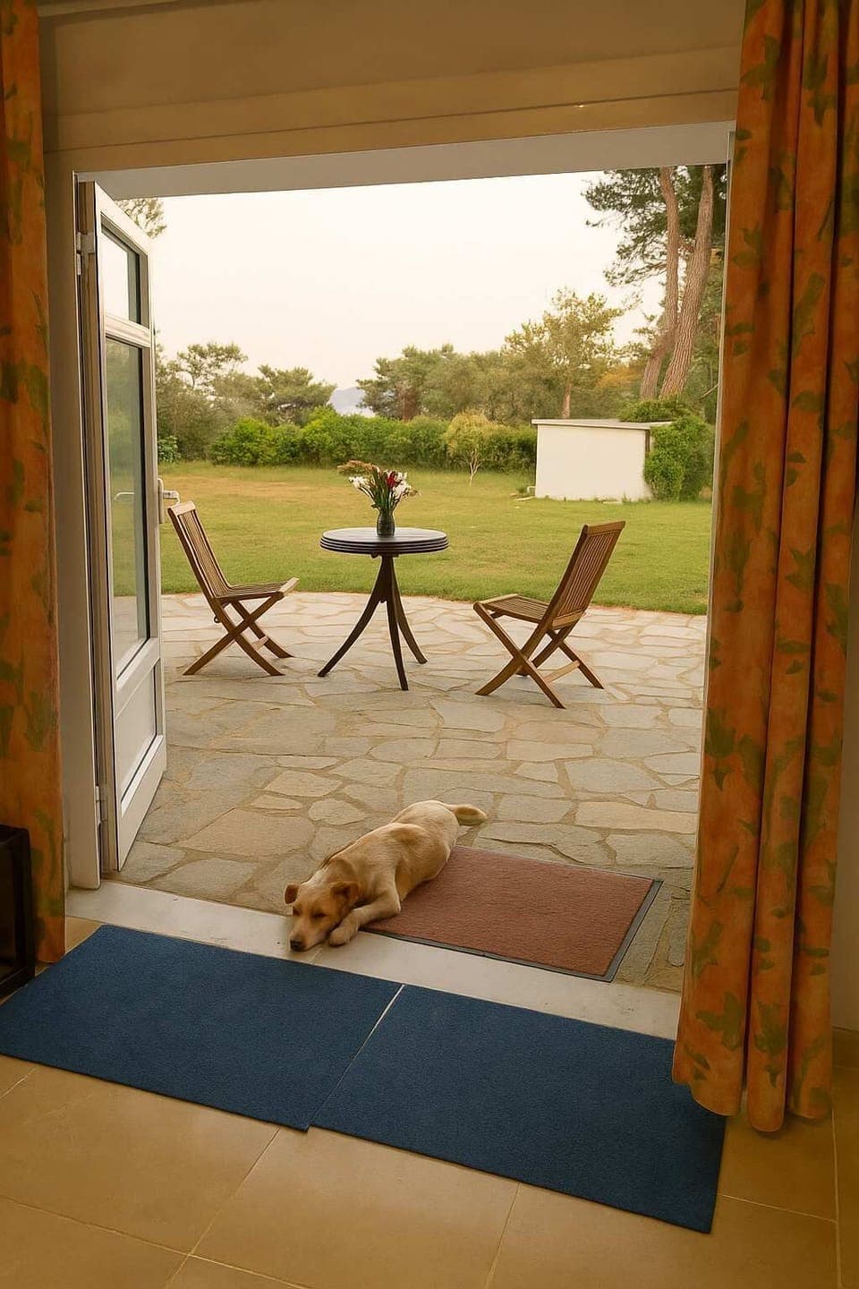 Enjoy breakfast or evening drinks on your private terrace overlooking olive trees and the sea breeze.