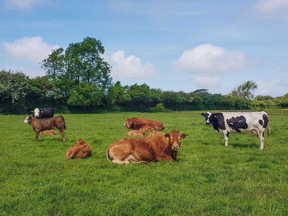 Surrounding area | Rose Cottage - Jones&rsquo; Cottages, Gower