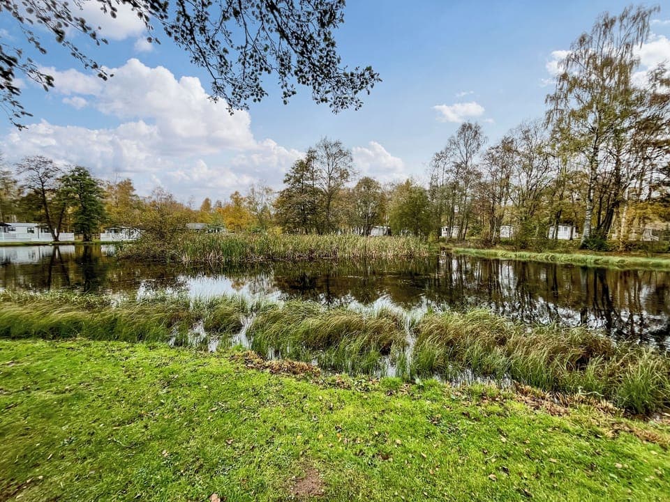 Surrounding area | Lily Pad Lodge, Brechin