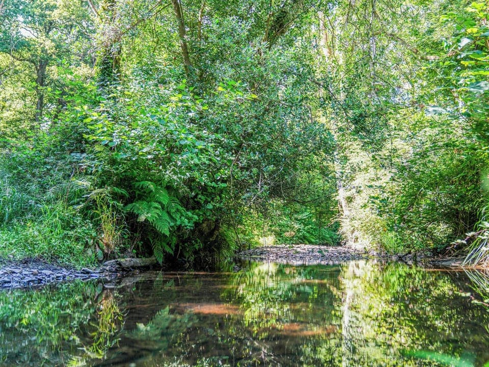 Surrounding area | Bluebell Lodge - Binneford Holiday Lodges, Hittisleigh