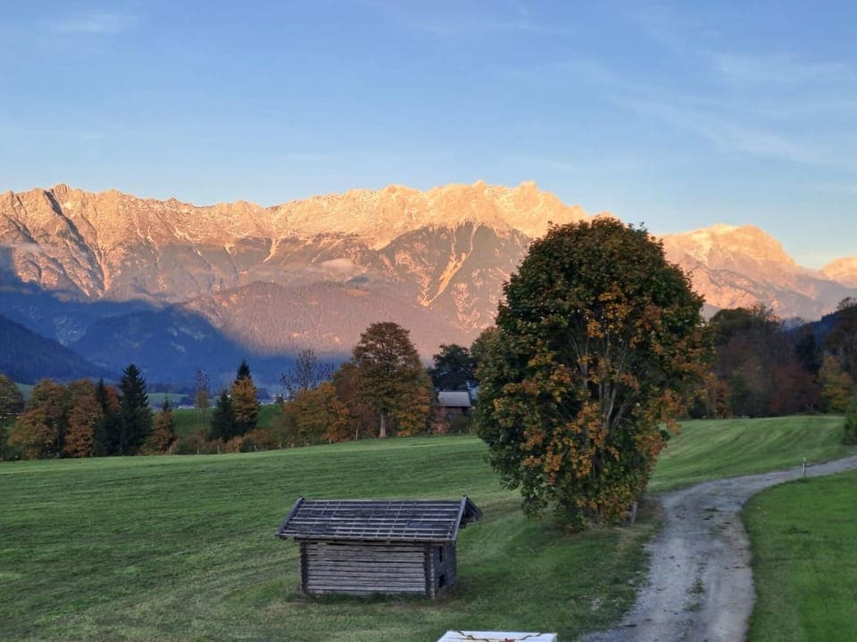 View from Holiday Home [summer]