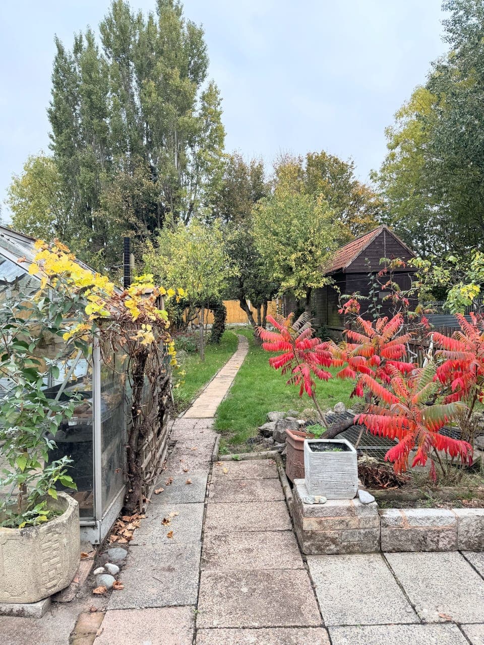 Large back garden with garden furniture in Summer 