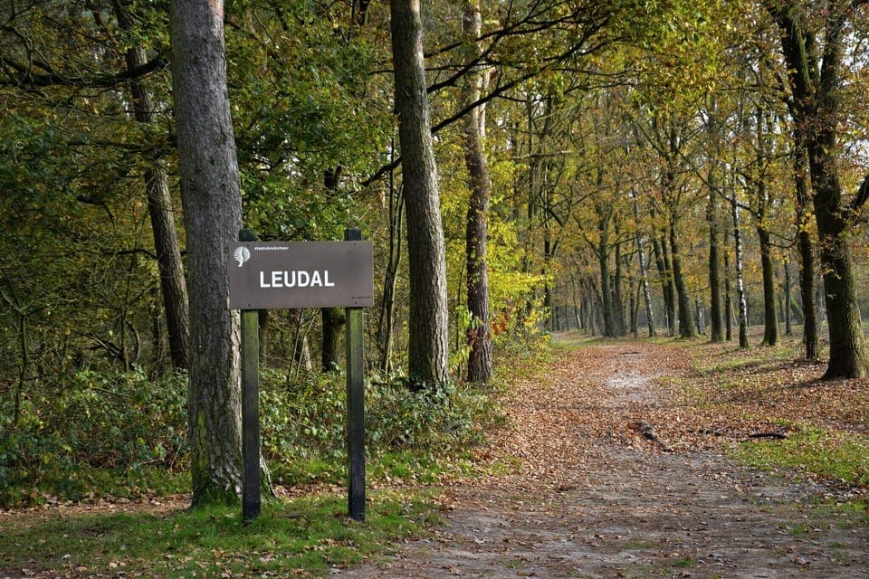 Surroundings [summer] (1-5 km)