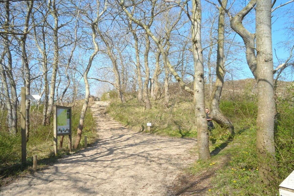 Surroundings [summer] (1-5 km)