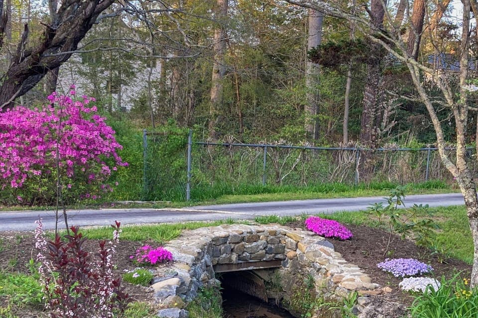 Stream & Pond On-Site