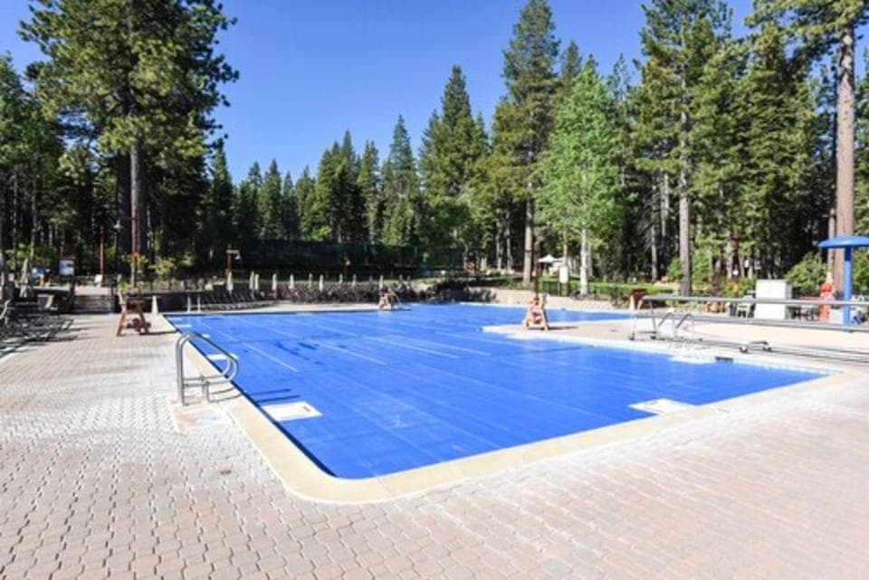 Enjoy a refreshing swim in the serene, forest-framed pool, perfect for unwinding after a day of adventure.