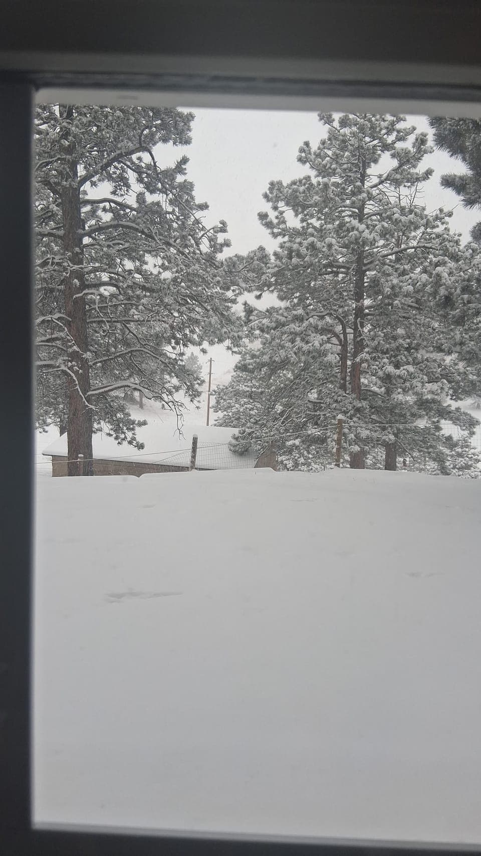 View from property