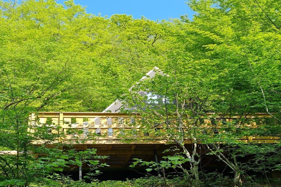 Immediate Surroundings [summer] (<1 km)