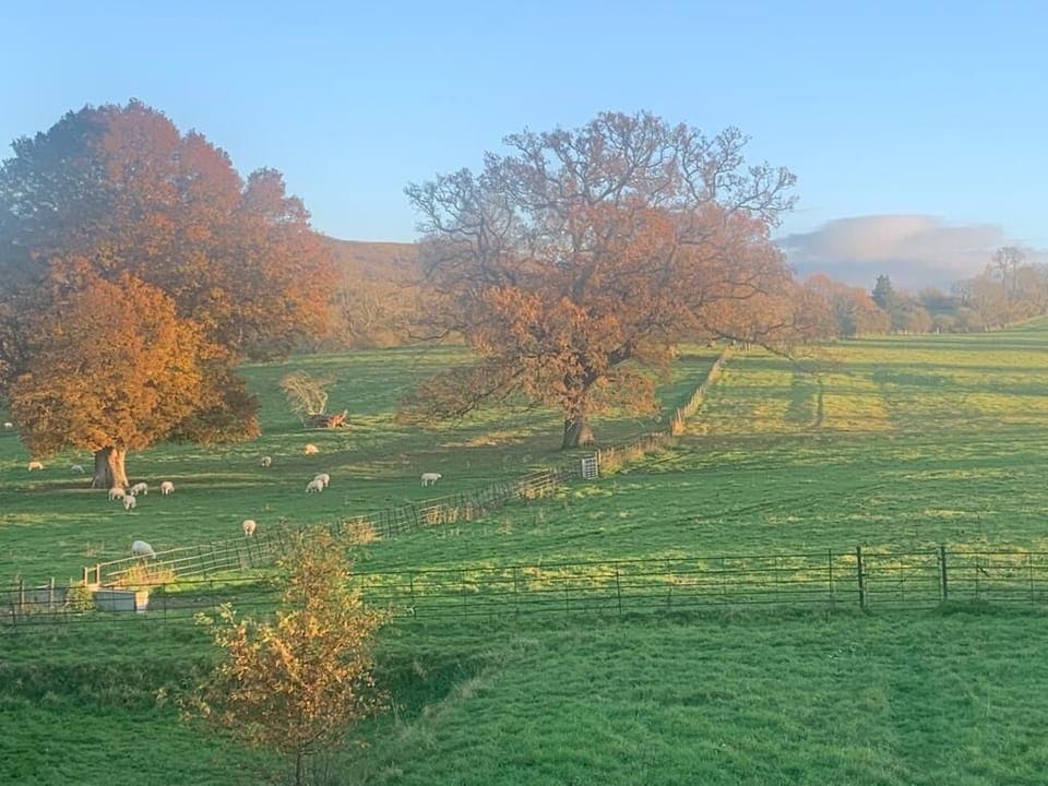 The view from the master bedroom
