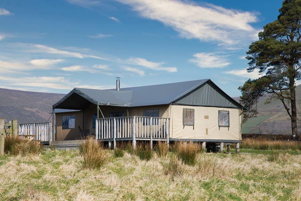 Lantern and Larks - Mallard Bleasdale