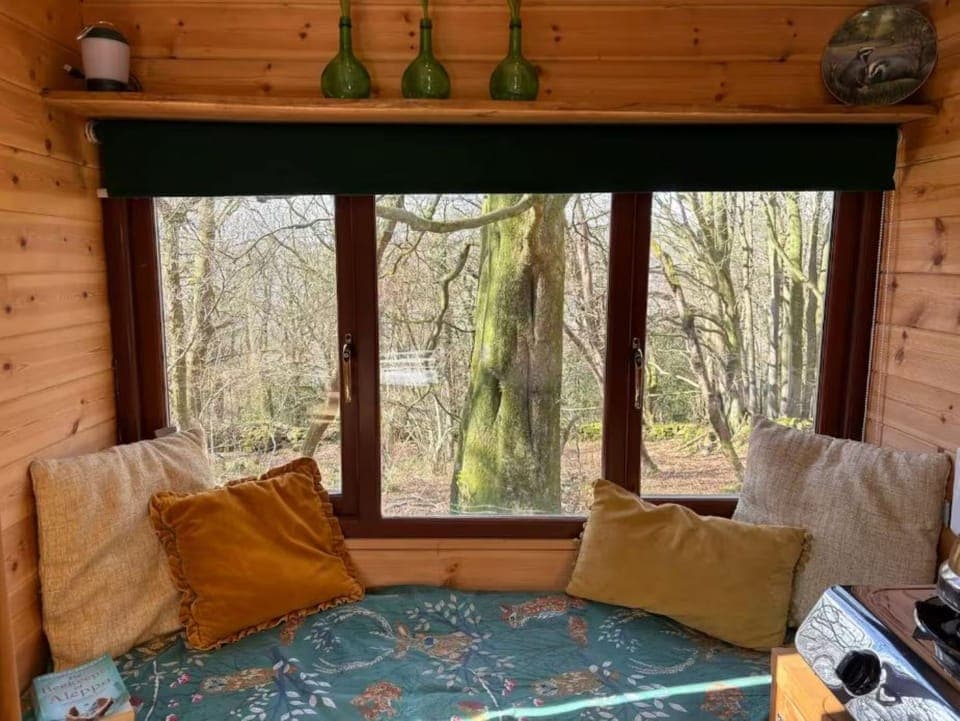 Large window overlooking the outdoors