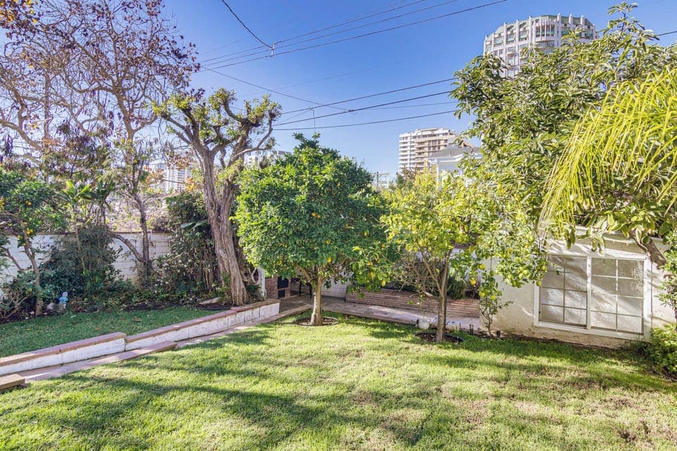 Large Backyard