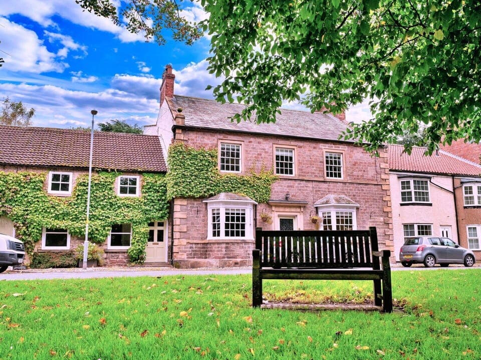 Wood, Room, Wood Stain, Chair