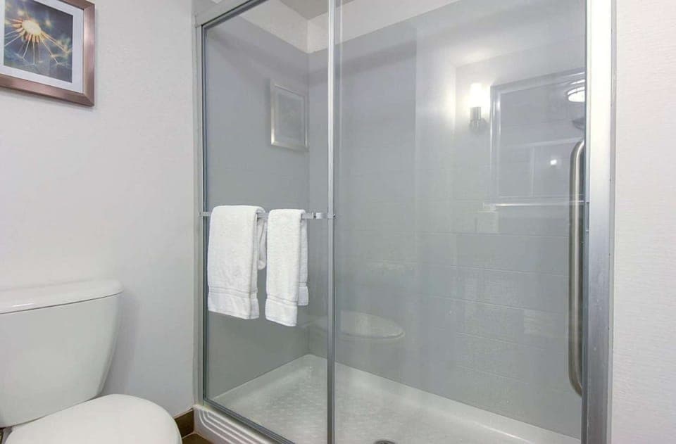Bathroom with fresh towels.