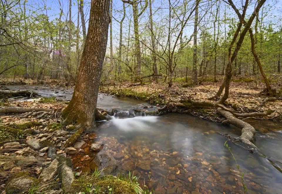 Streamside serenity awaits – where the gentle sounds of nature sing a lullaby.
