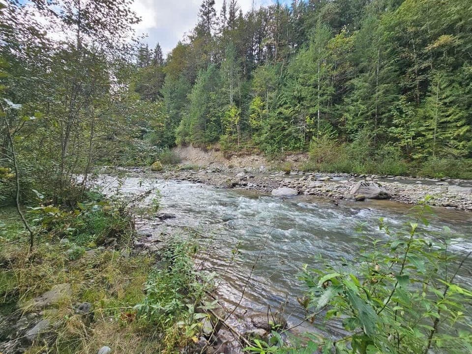 Downstream of our direct access to the Sandy River.