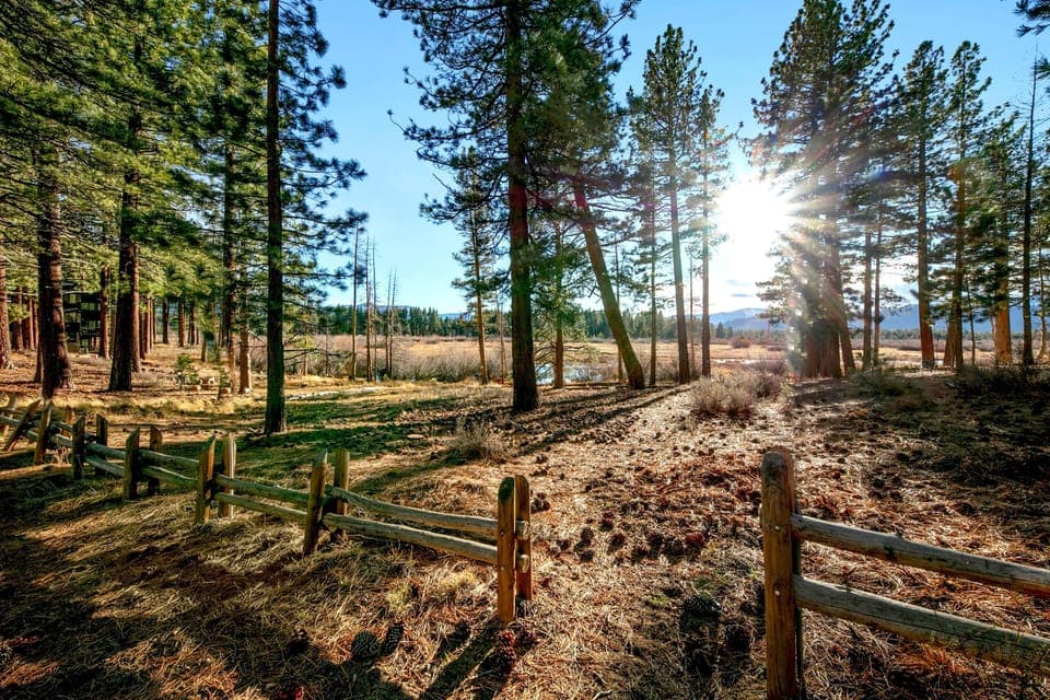 Sunlit forest retreat with rustic wooden fencing and open space