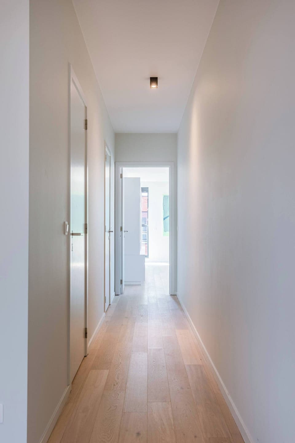 Bright hallway leading to the sleeping area.