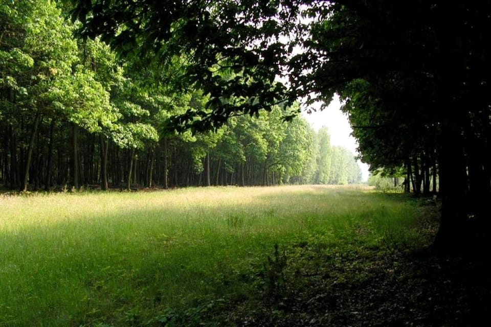 Surroundings [summer] (1-5 km)