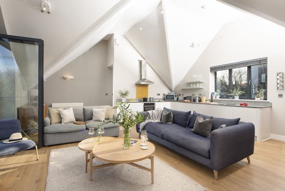 Pet friendly open plan living , dining and kitchen area - Cloud 10