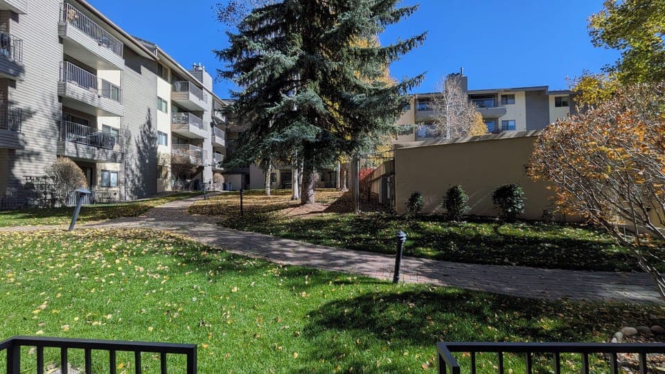 View from patio