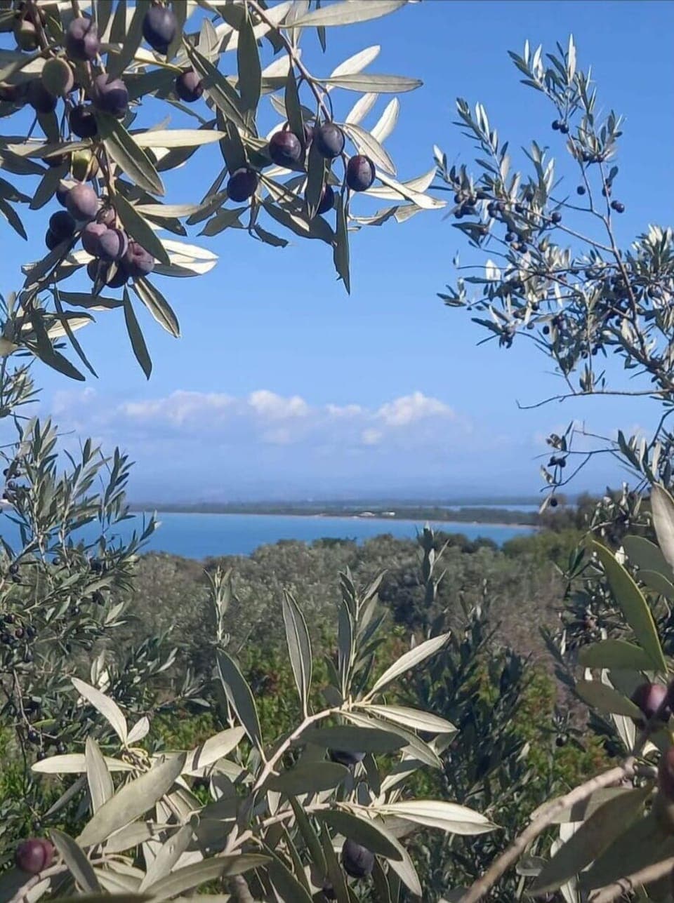 Autumn, Scenic View, Spring, Summer