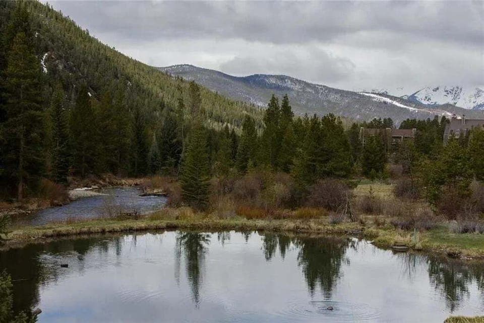 Lake, Nature, Outdoors, Water, Tree