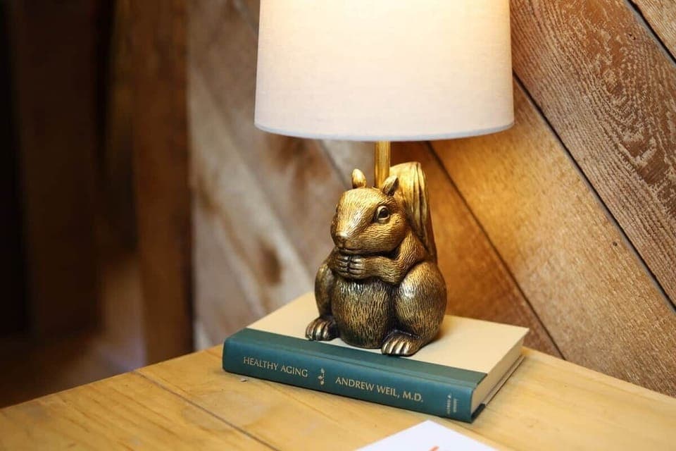 Just a call out to our neighborhood squirrels who entertain our dogs :)