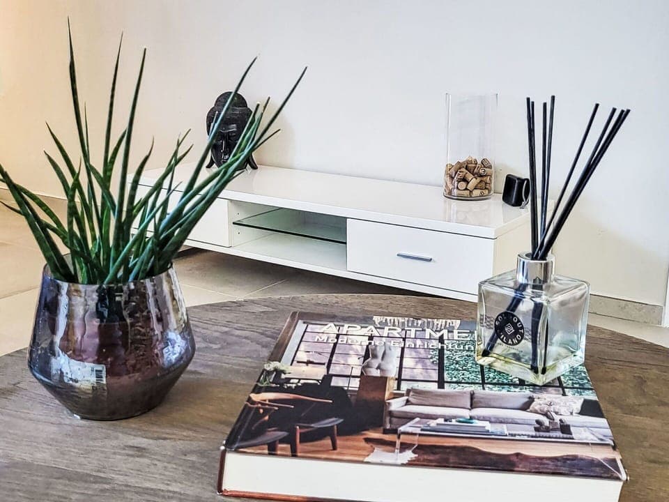 Furniture, Interior Design, Flowerpot, Lighting, Home, Vase, Houseplant, Room, Picture Frame, Living Room