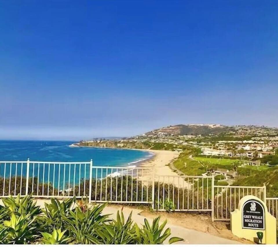 View from the Ritz Carlton overlooking the epic Salt Creek Beach just 3 mi. away