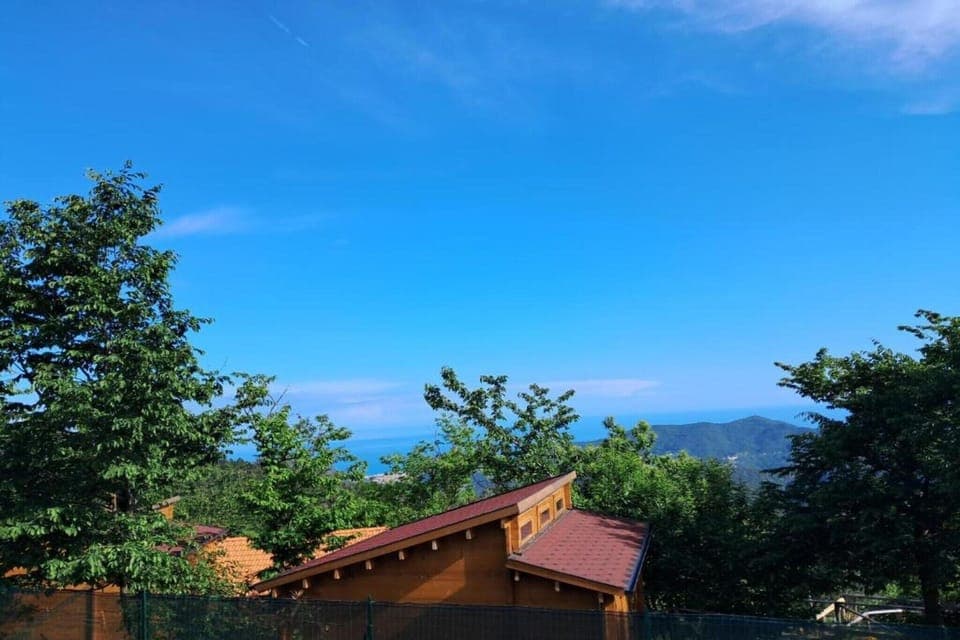 View from Holiday Home [summer]