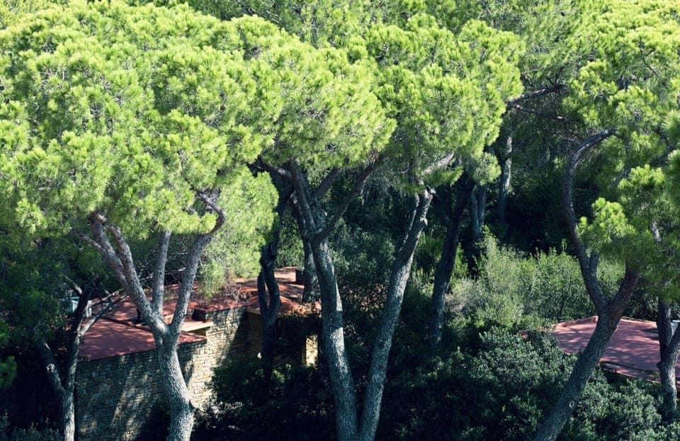 Immediate Surroundings [summer] (<1 km)